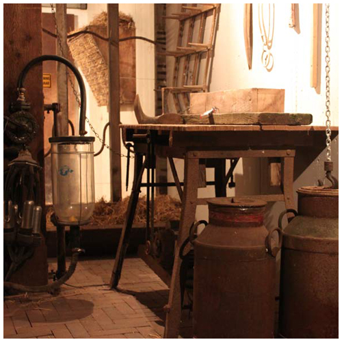 Escape room Boerenstal